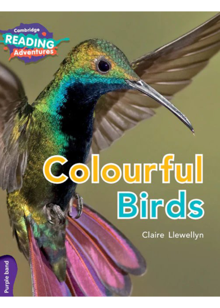 Cambridge Reading Adventures Colourful Birds Purple Band