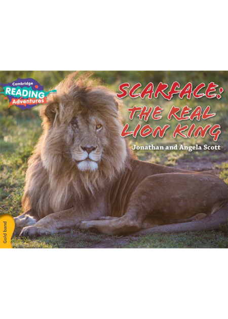 Cambridge Reading Adventures Scarface: The Real Lion King Gold Band
